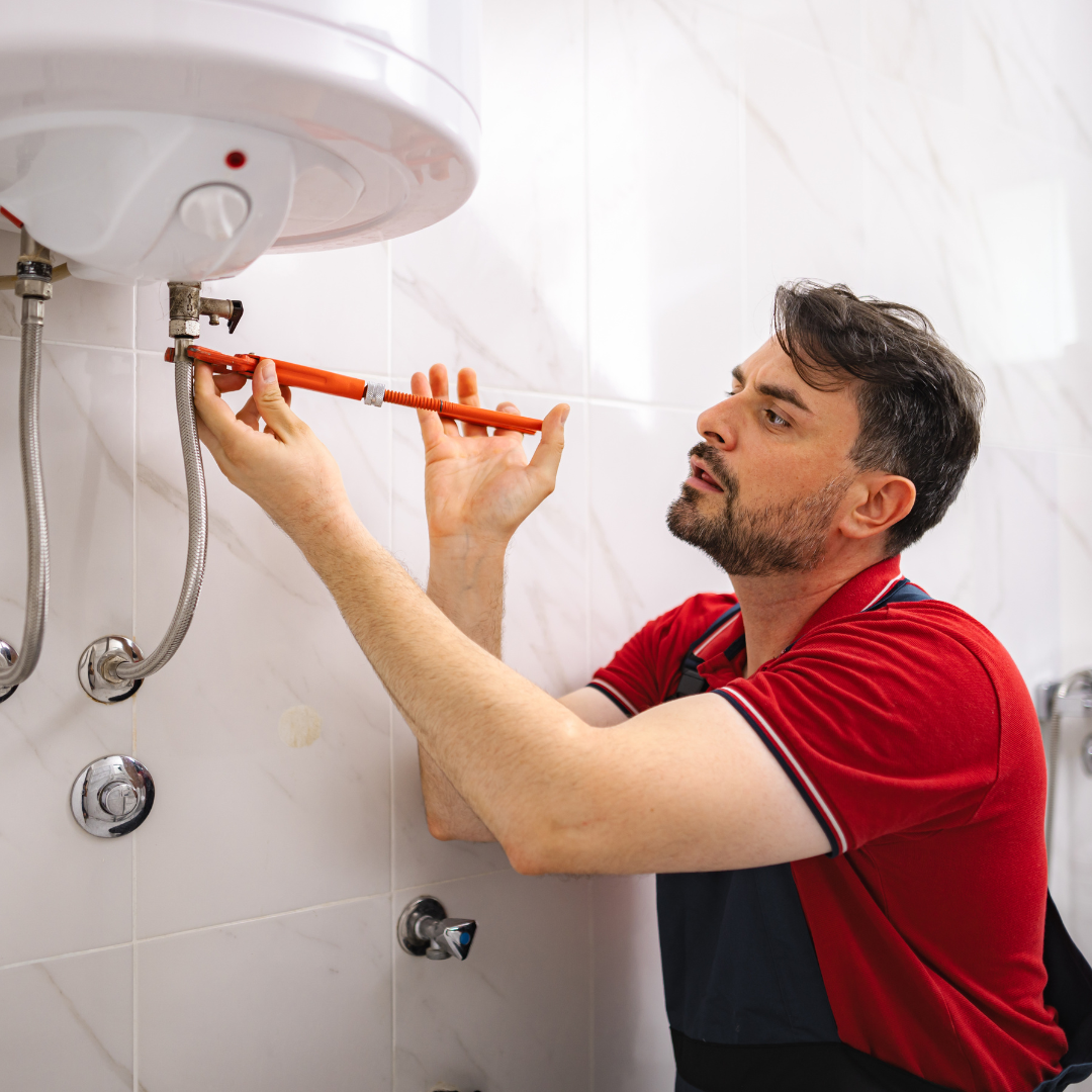 Trades & Services